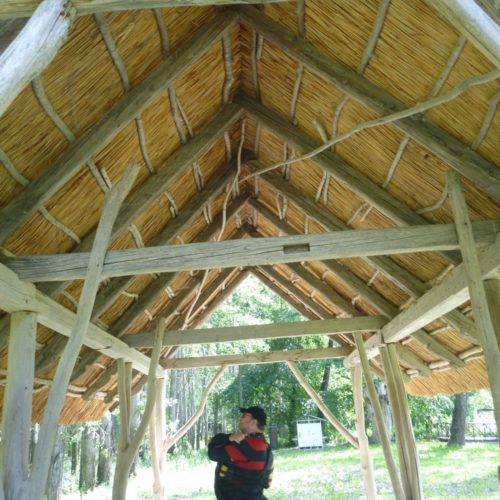 Der Holzexperte Jürgen sichtet das Dachwerk 